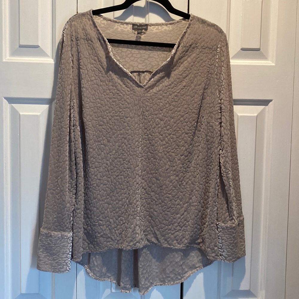 The Limited Velvet Burnout Blouse